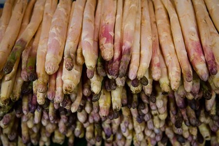  White asparagus in the Lormarin market 