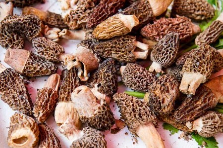  Fresh morels in the market 