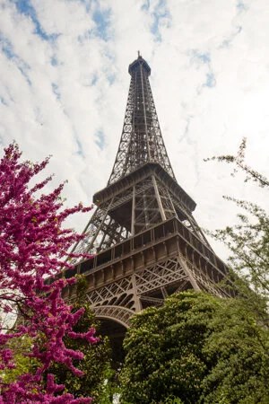  Eiffel Tower 