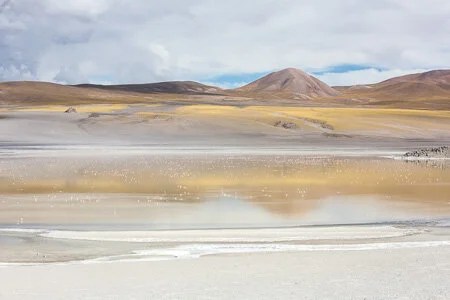 Laguna Grande, pink dots are flamingos, Puna, Argentina