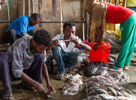 Hawassa fish market