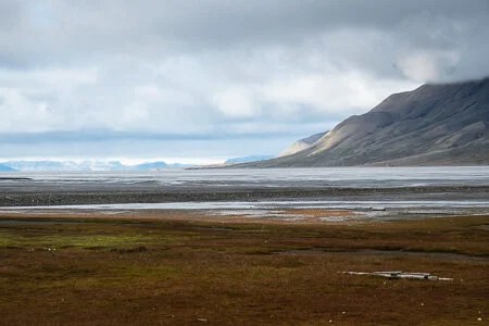 Tundra, Longyearbyen