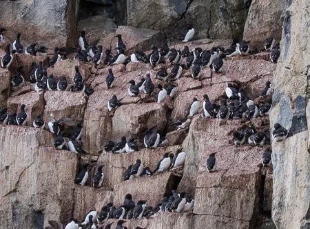 Not an inch of space...