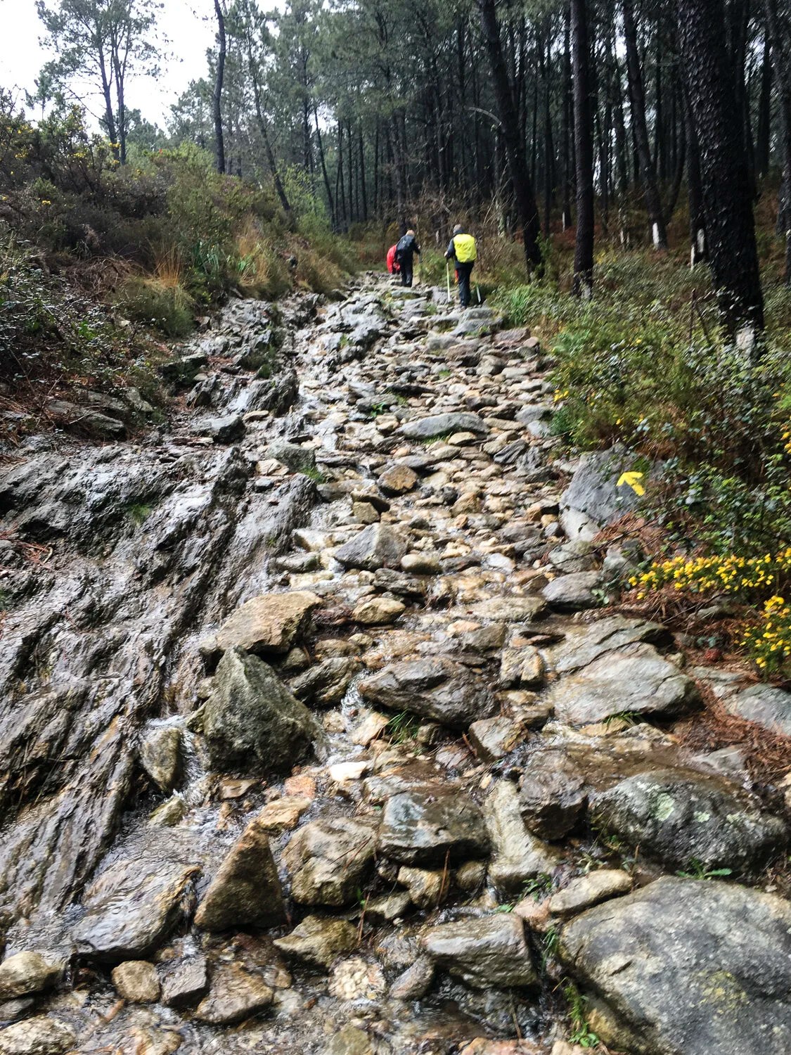  2 1/2 hours later. The last pitch to the top. Even steeper and wetter than it appears. 