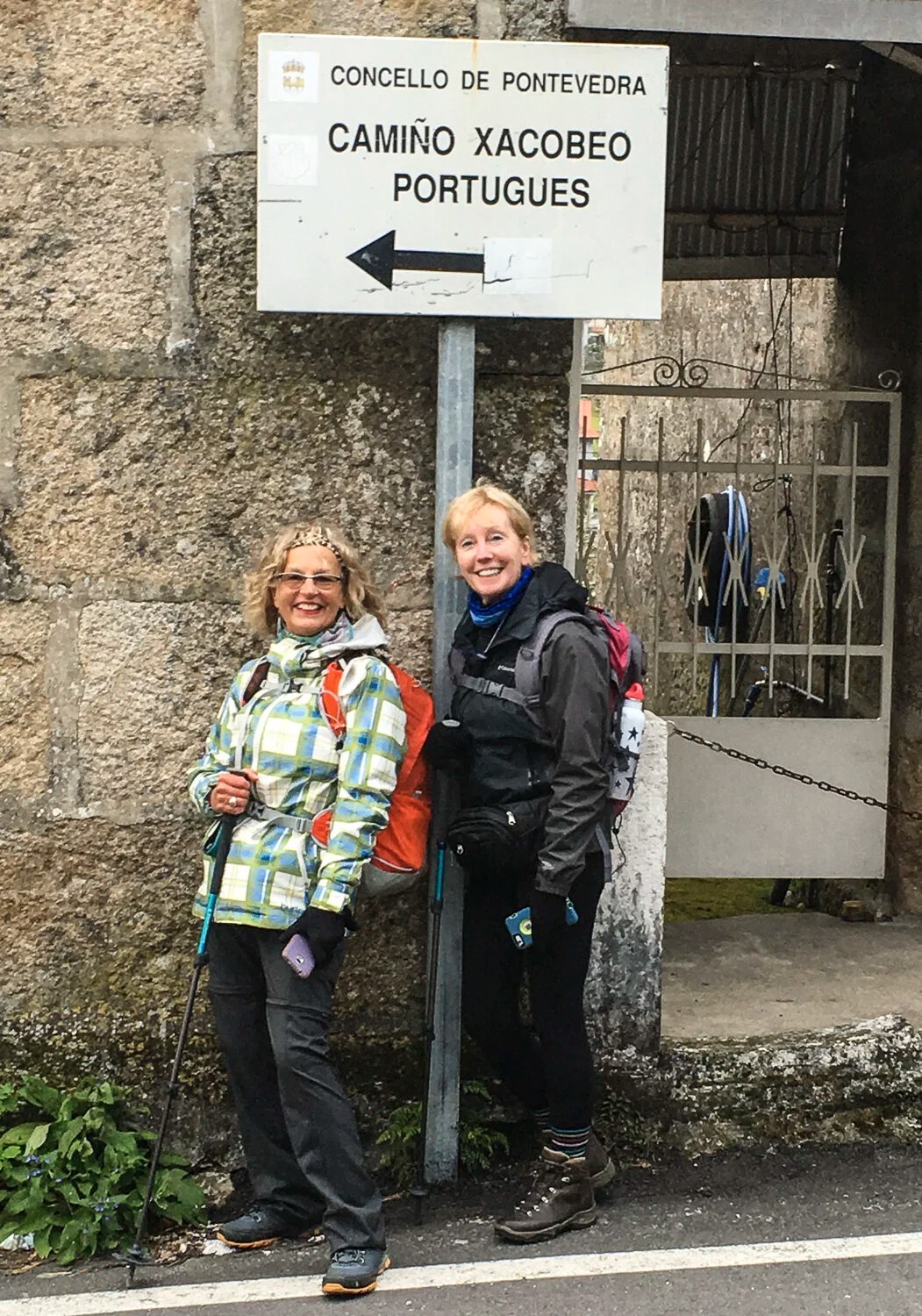 Our two Newfoundland walkers, Evelyn and Elaine.