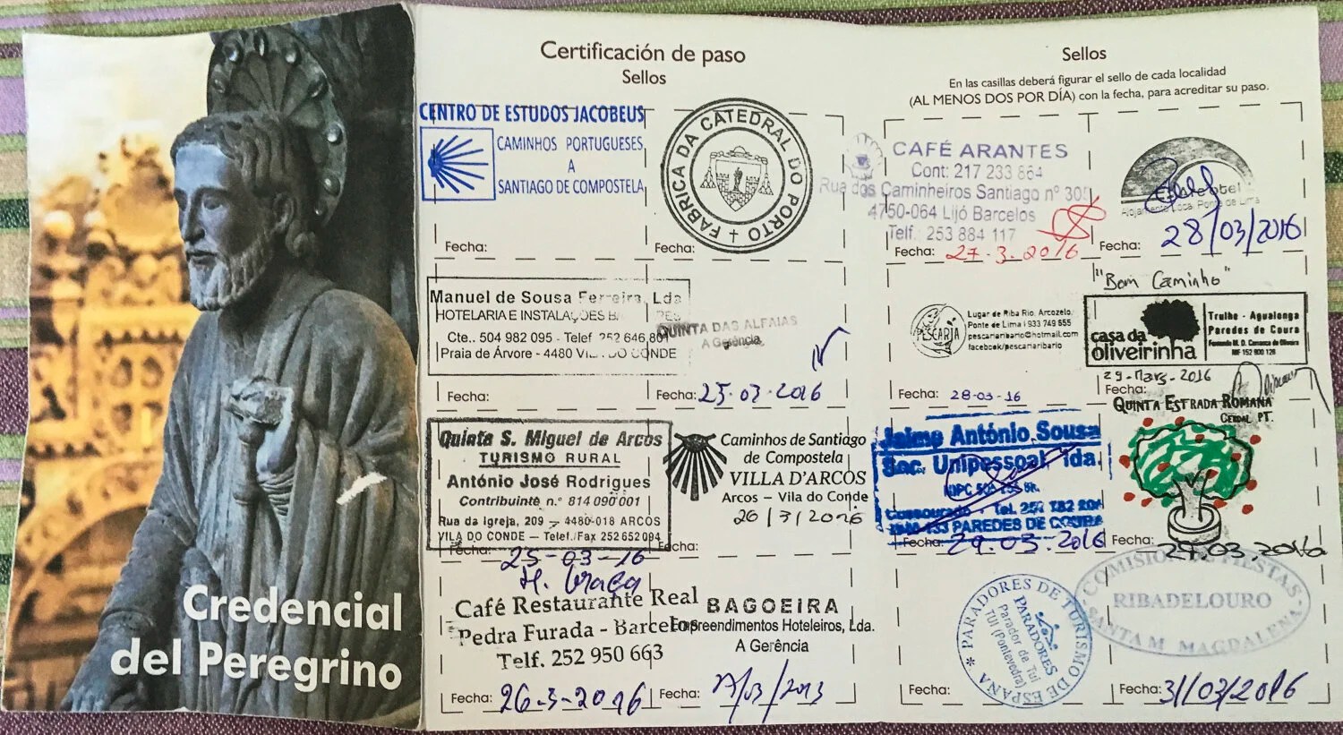  Couple of pages of my Passport 