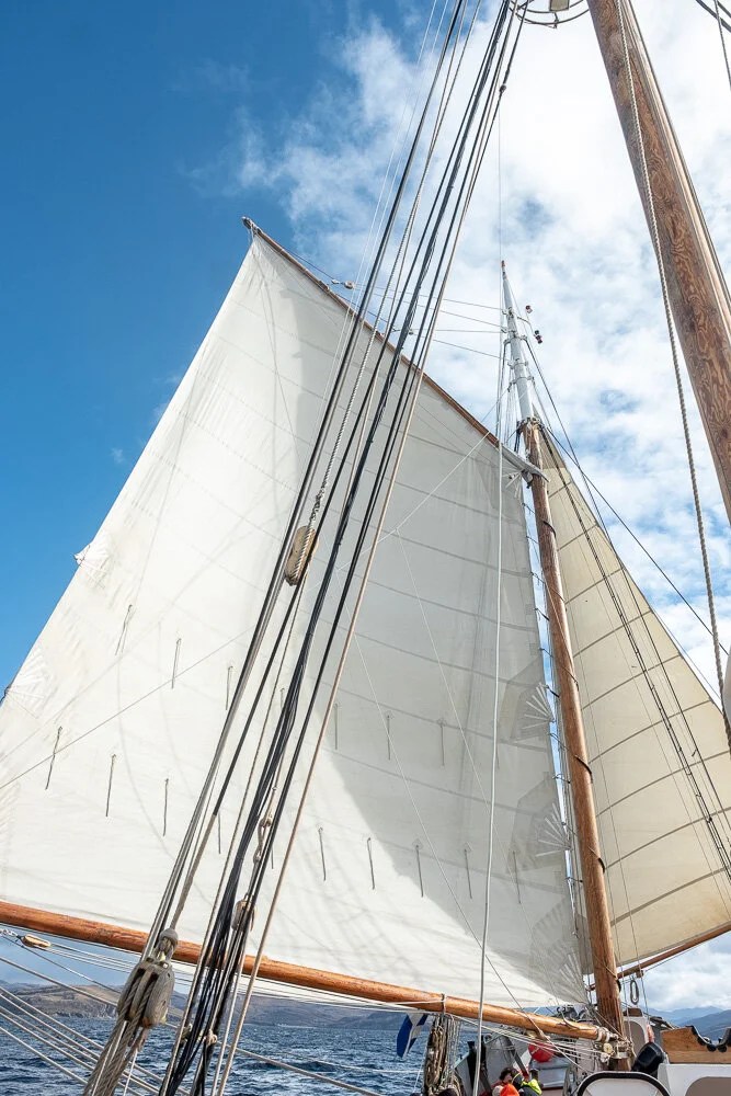  Butterflied staysail and main, into our final lap 