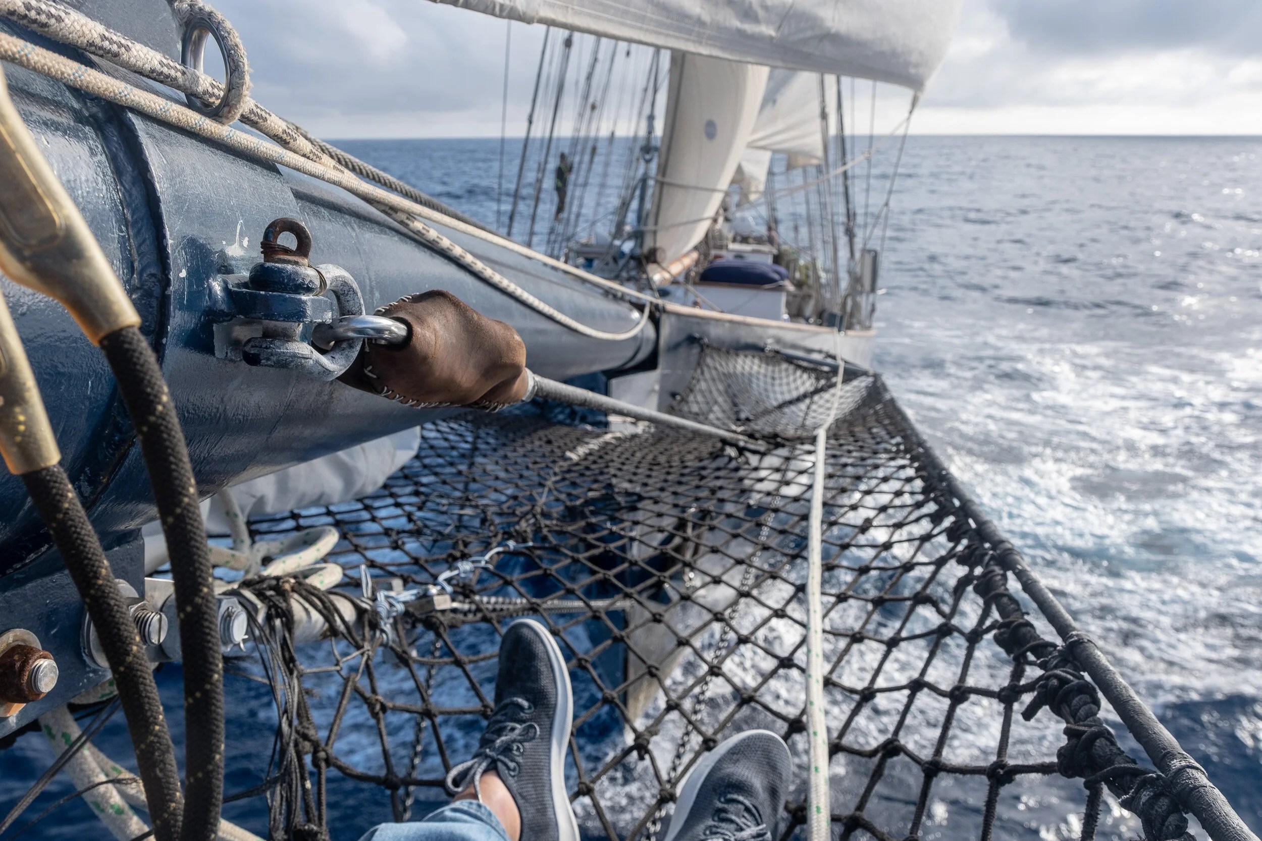 From the end of the bowsprit, no dolphins, just Allbirds!