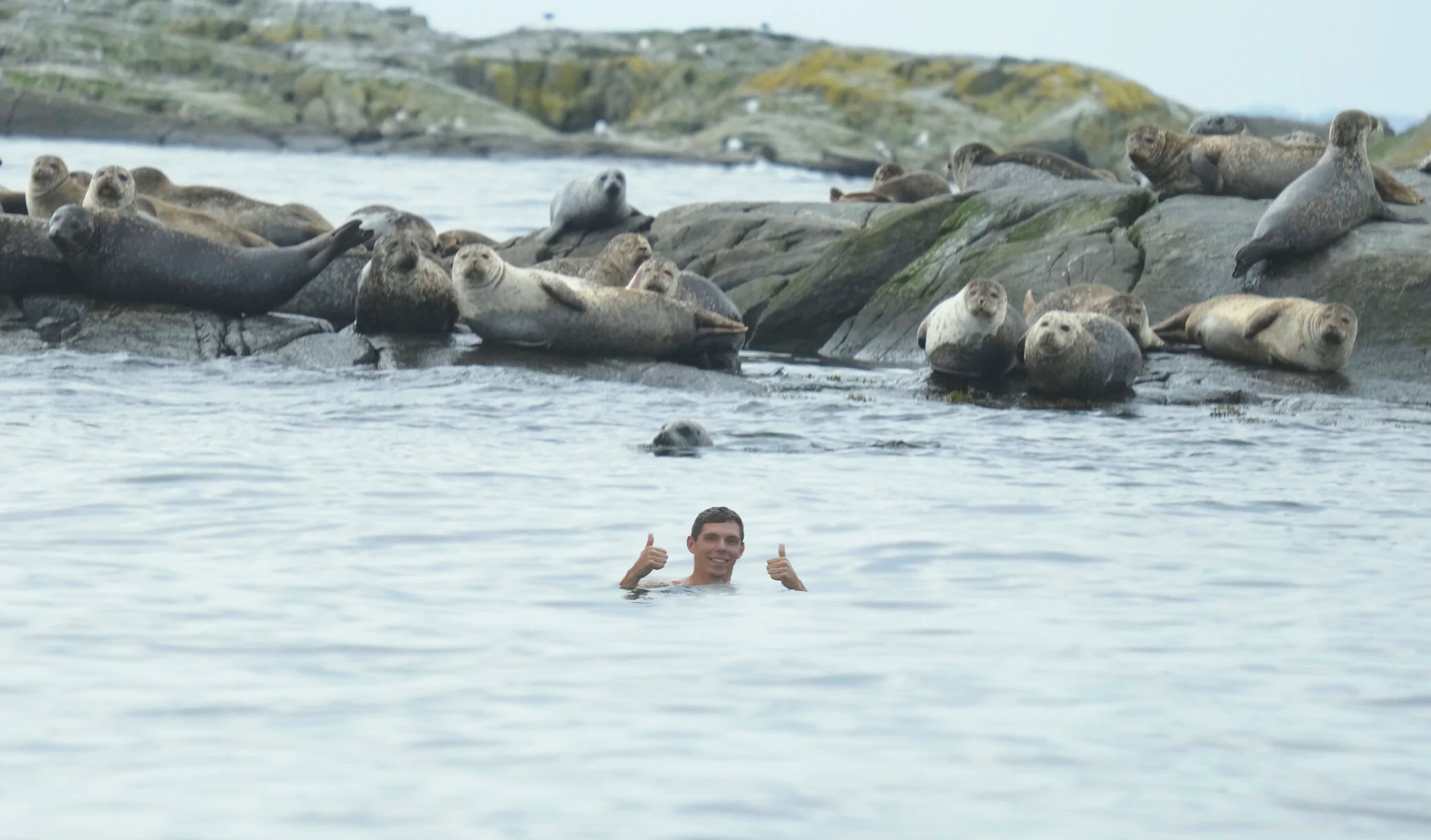  Jack, our first mate, swimming with the seals! 