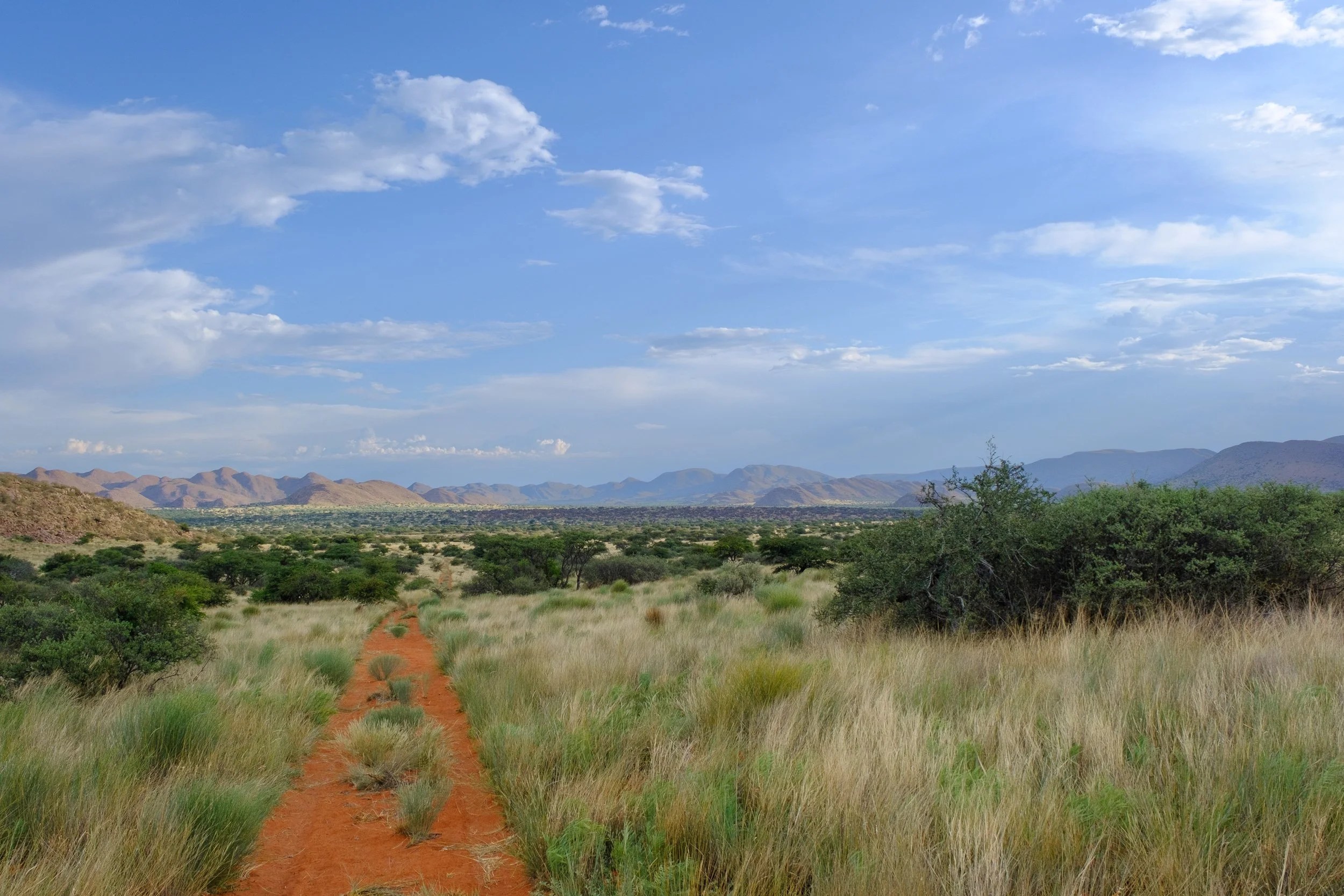  A section of the Tswalu landscape 