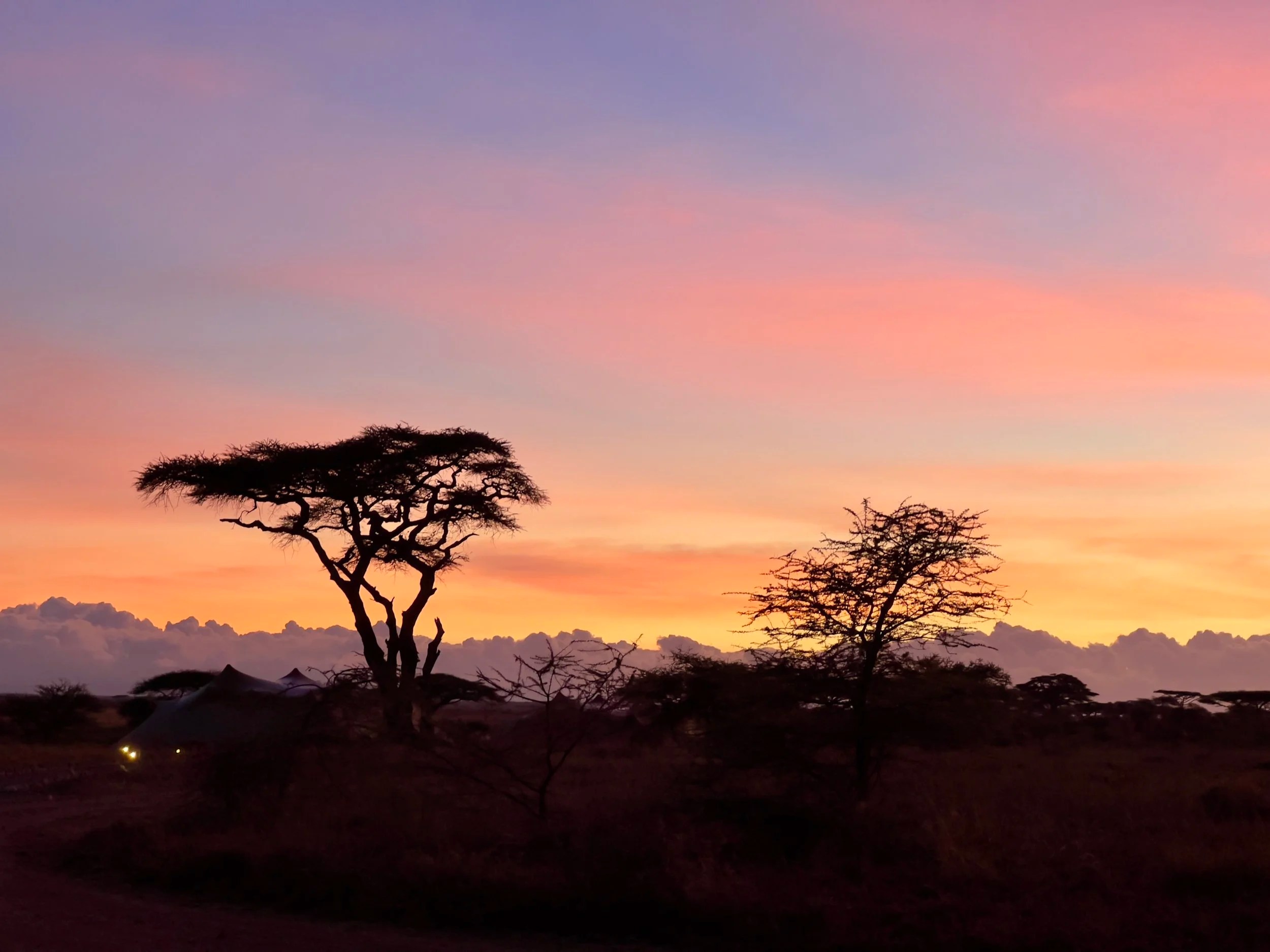  Sunrise farewell to Namiri Plains, Serengeti 