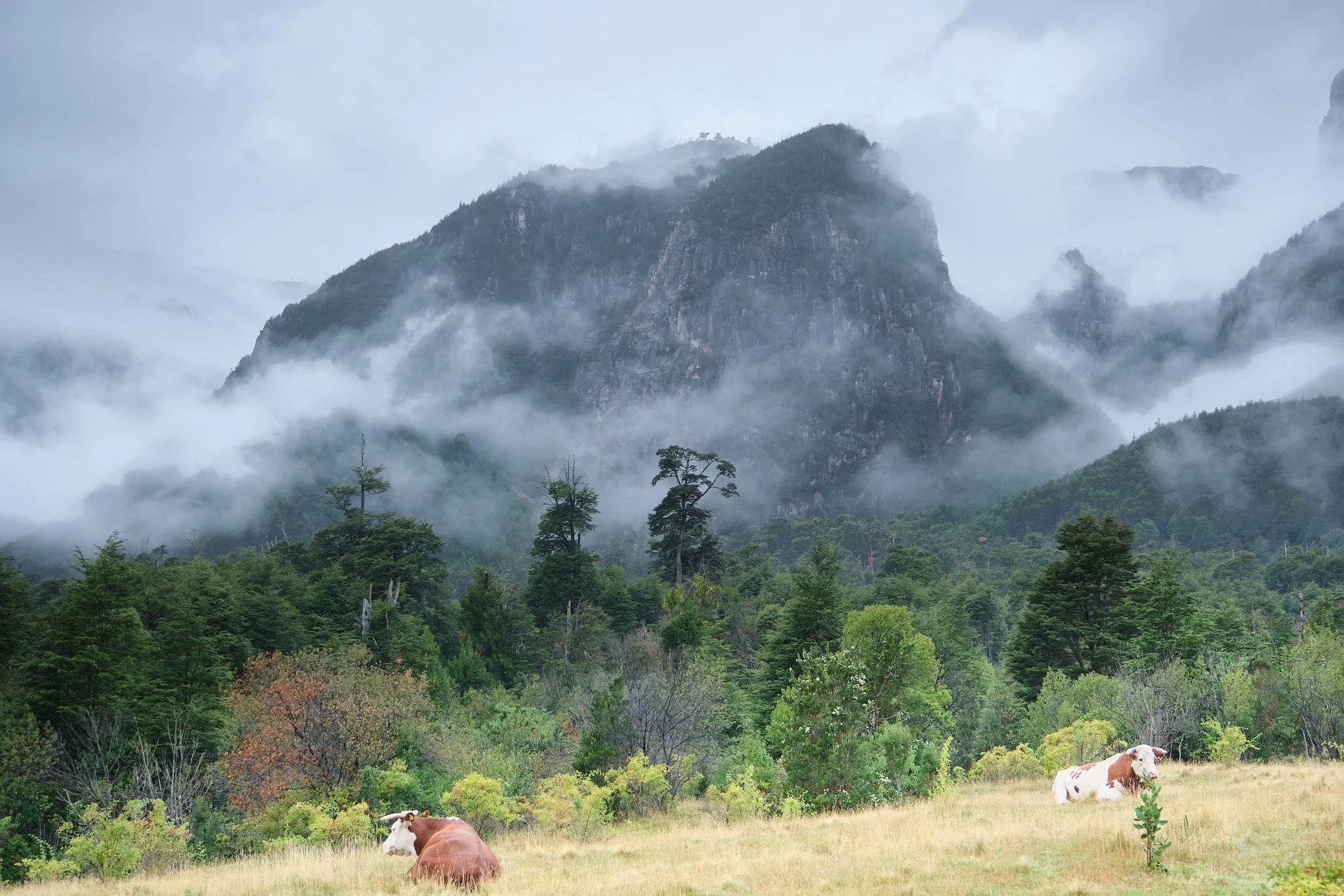  Andes, fog and rain but beautiful 