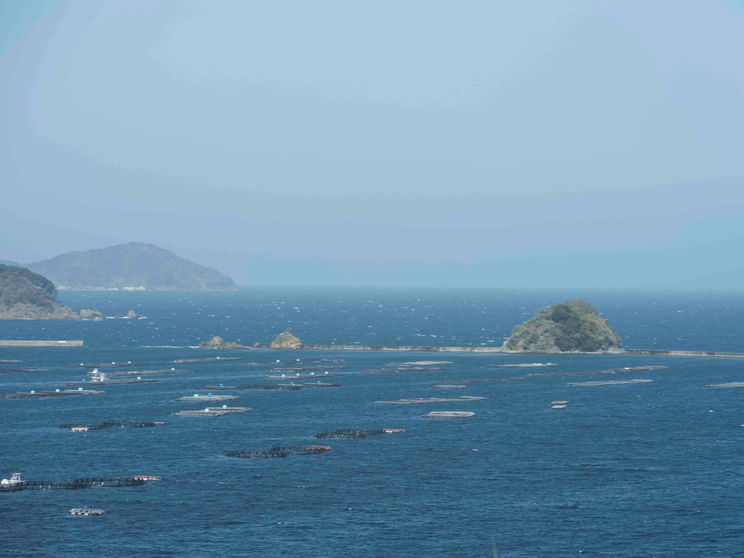  View from the top of the potato terraces with rafts of oyster beds 