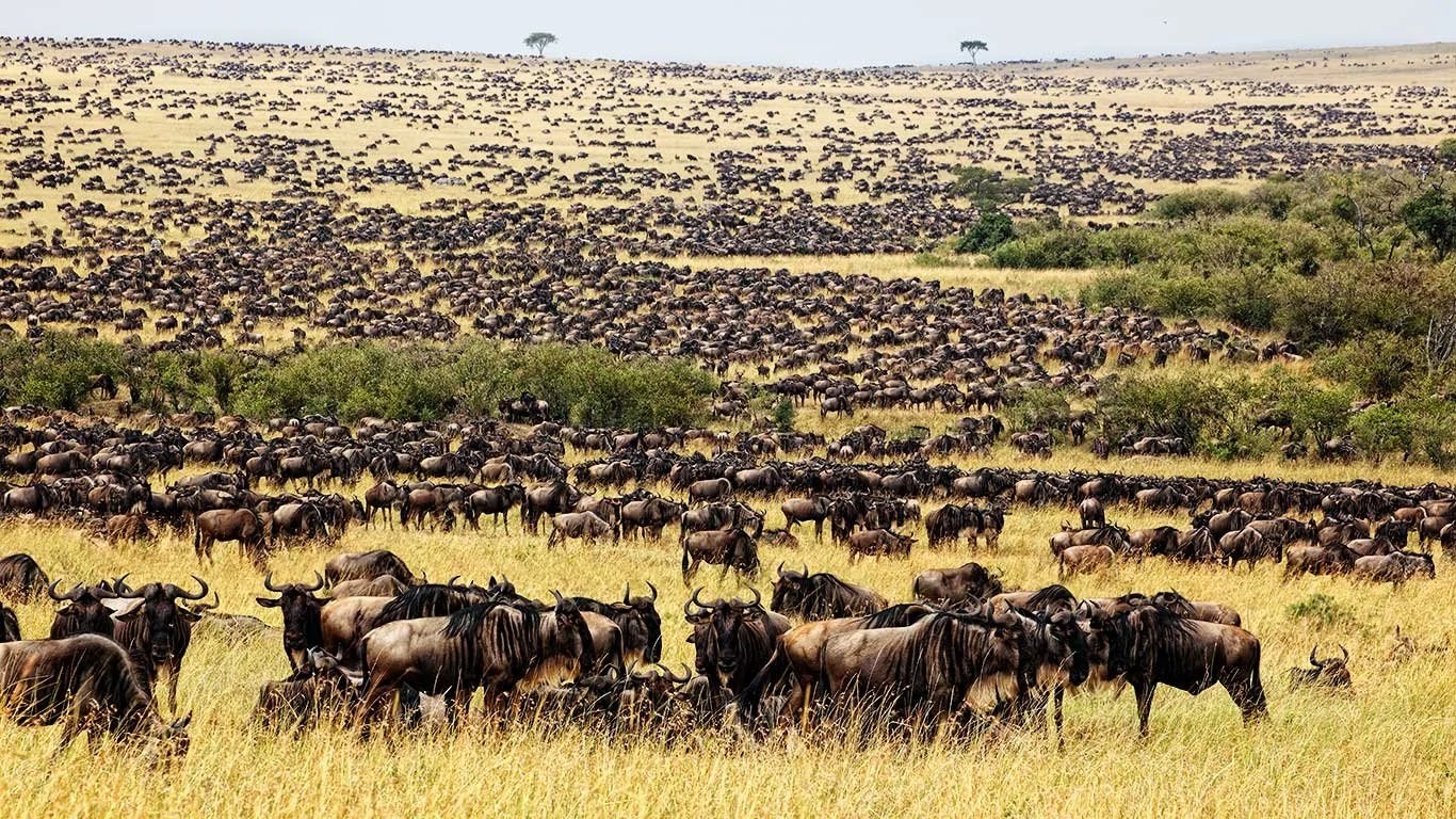  Photo courtesy of the Elewana Collection 