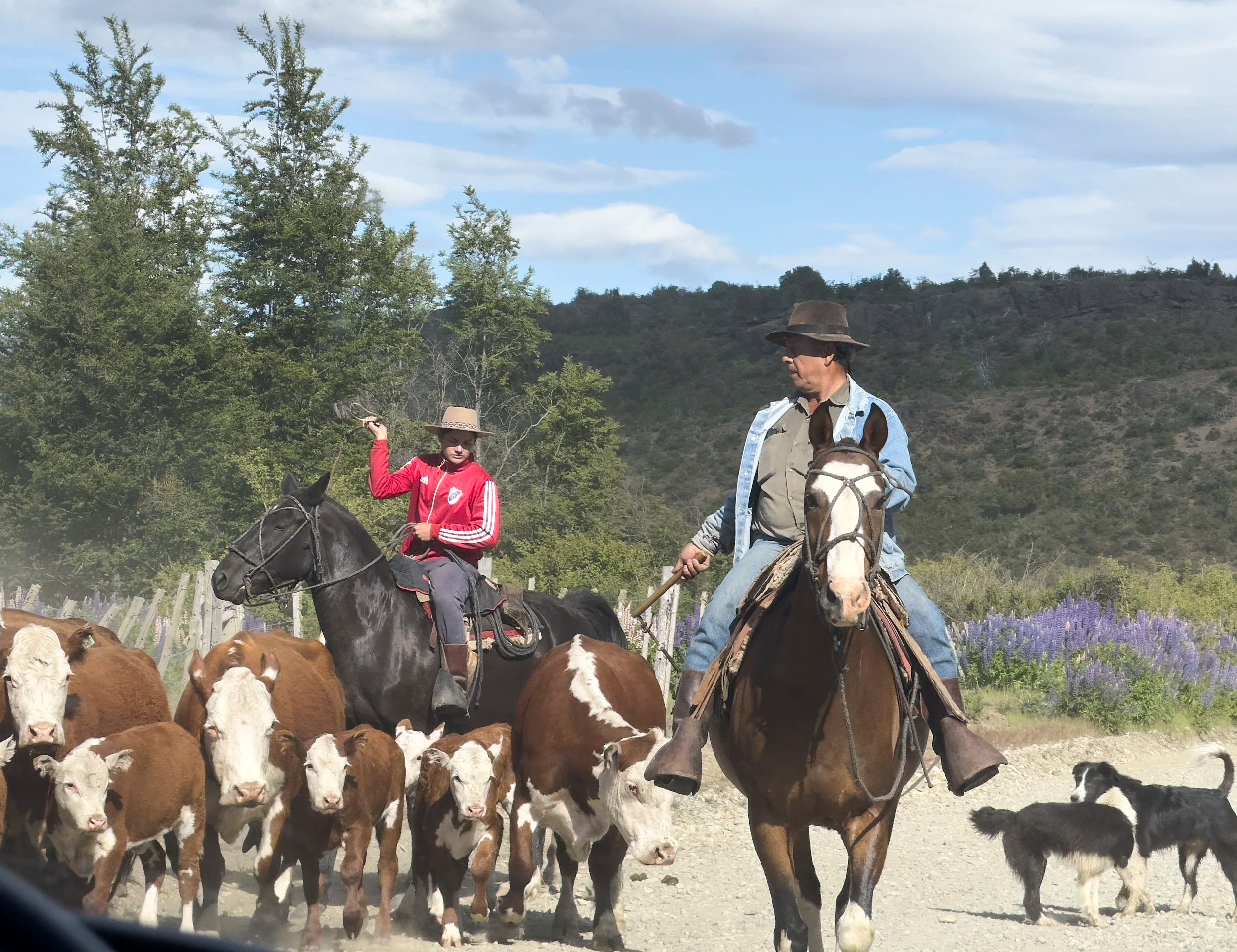  Gauchos, Los Alerces 