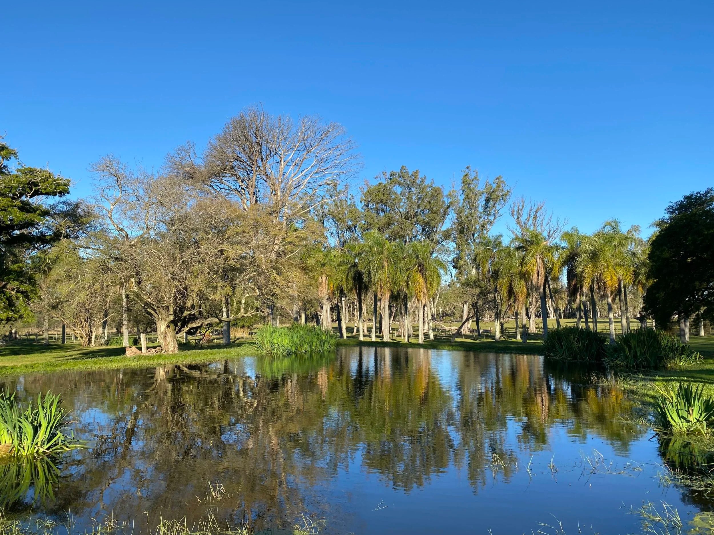  Grounds of Estancia La Violeta 