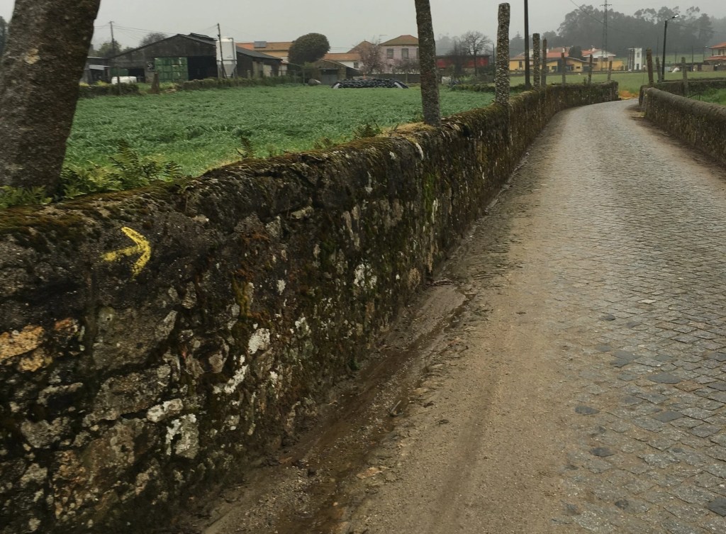 Camino – Day&nbsp;3