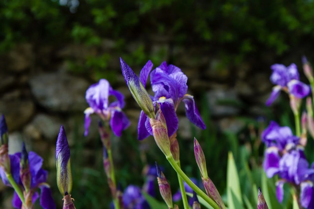 Provence – Day&nbsp;One