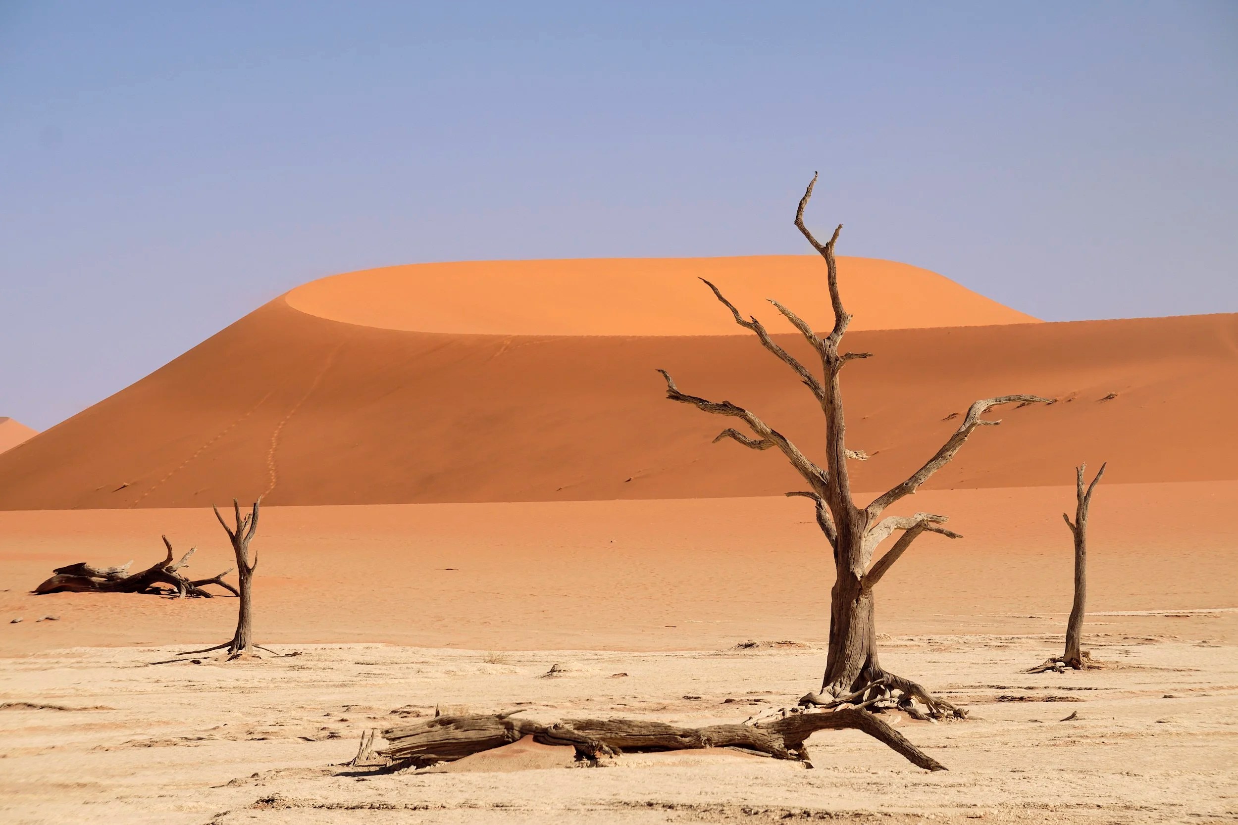 Dead Vlei, Sossusvlei, Namibia