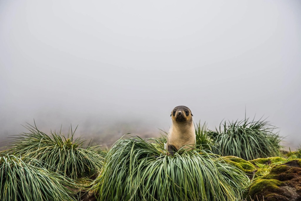 Buenos Aires – Monday, March&nbsp;6