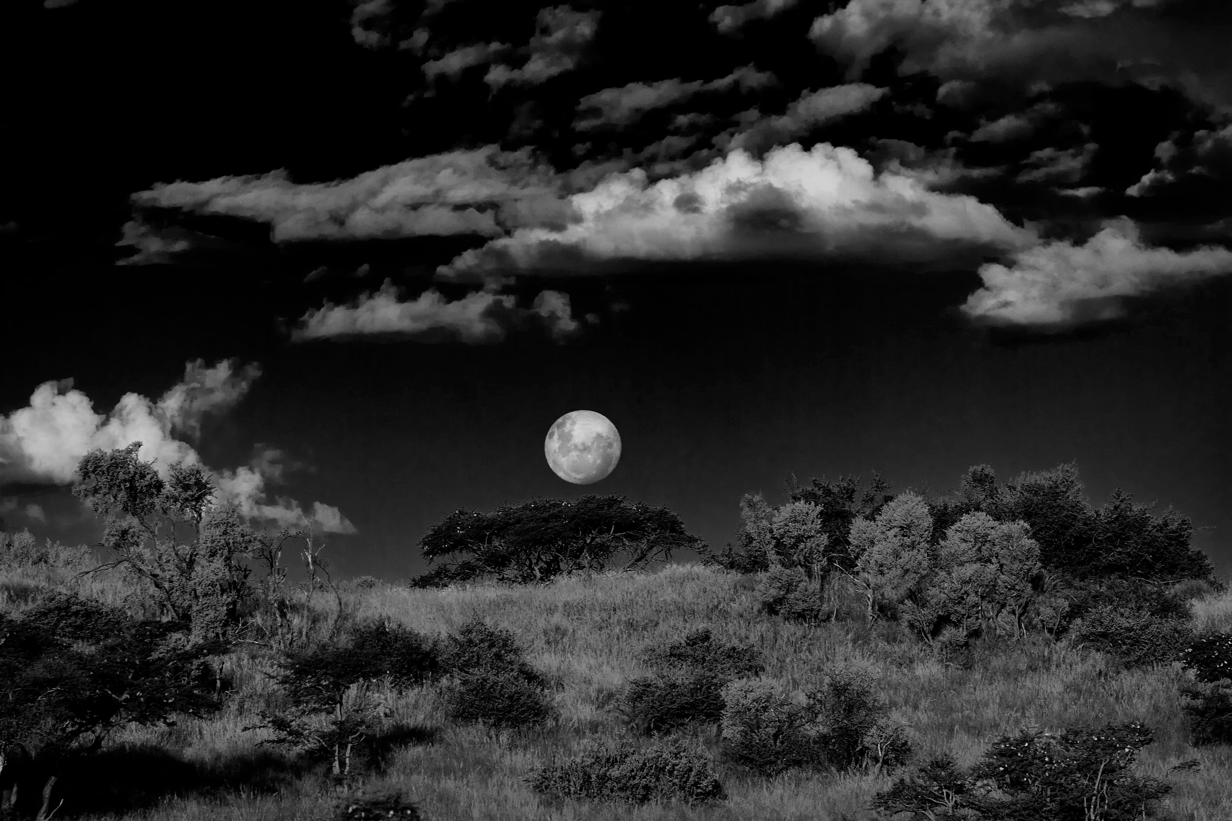 Moonrise over the Kalahari, Tswalu, South Africa