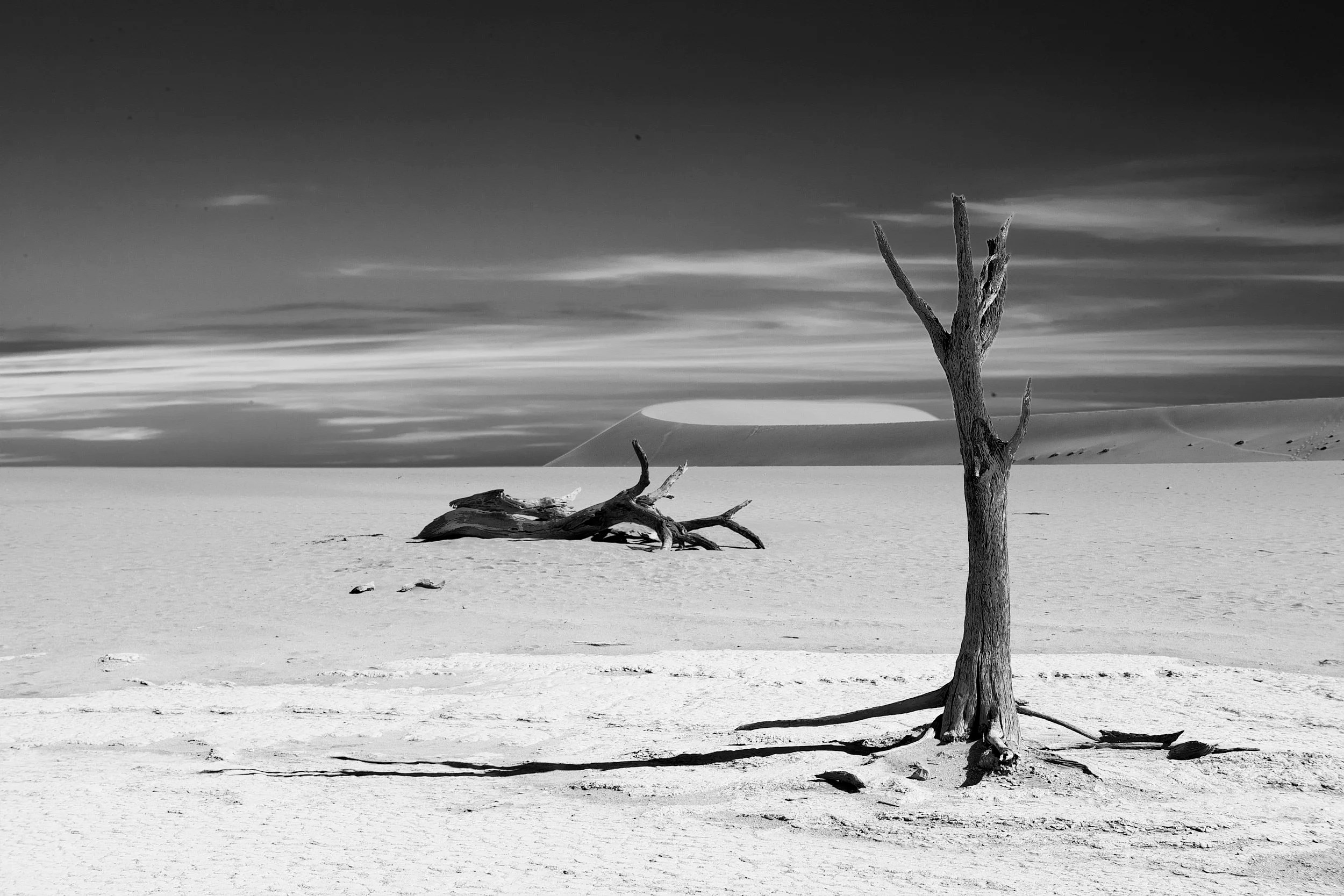 Dead Vlei, Sossusvlei, Namibia