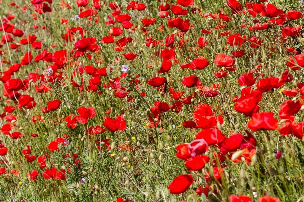 Provence – Day&nbsp;Two