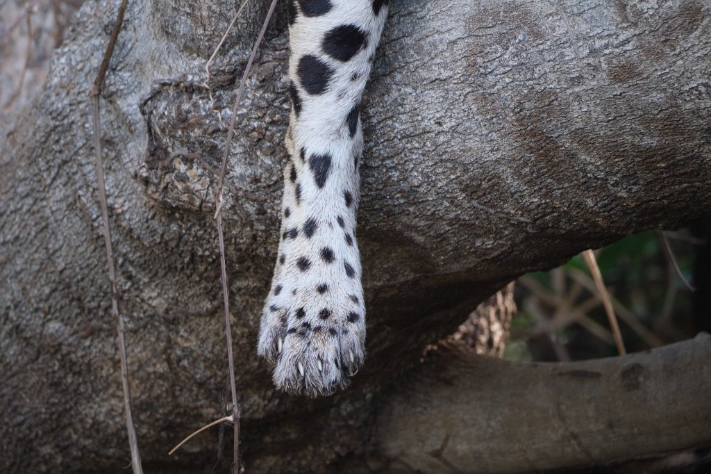 São Paulo – November 11,&nbsp;2025