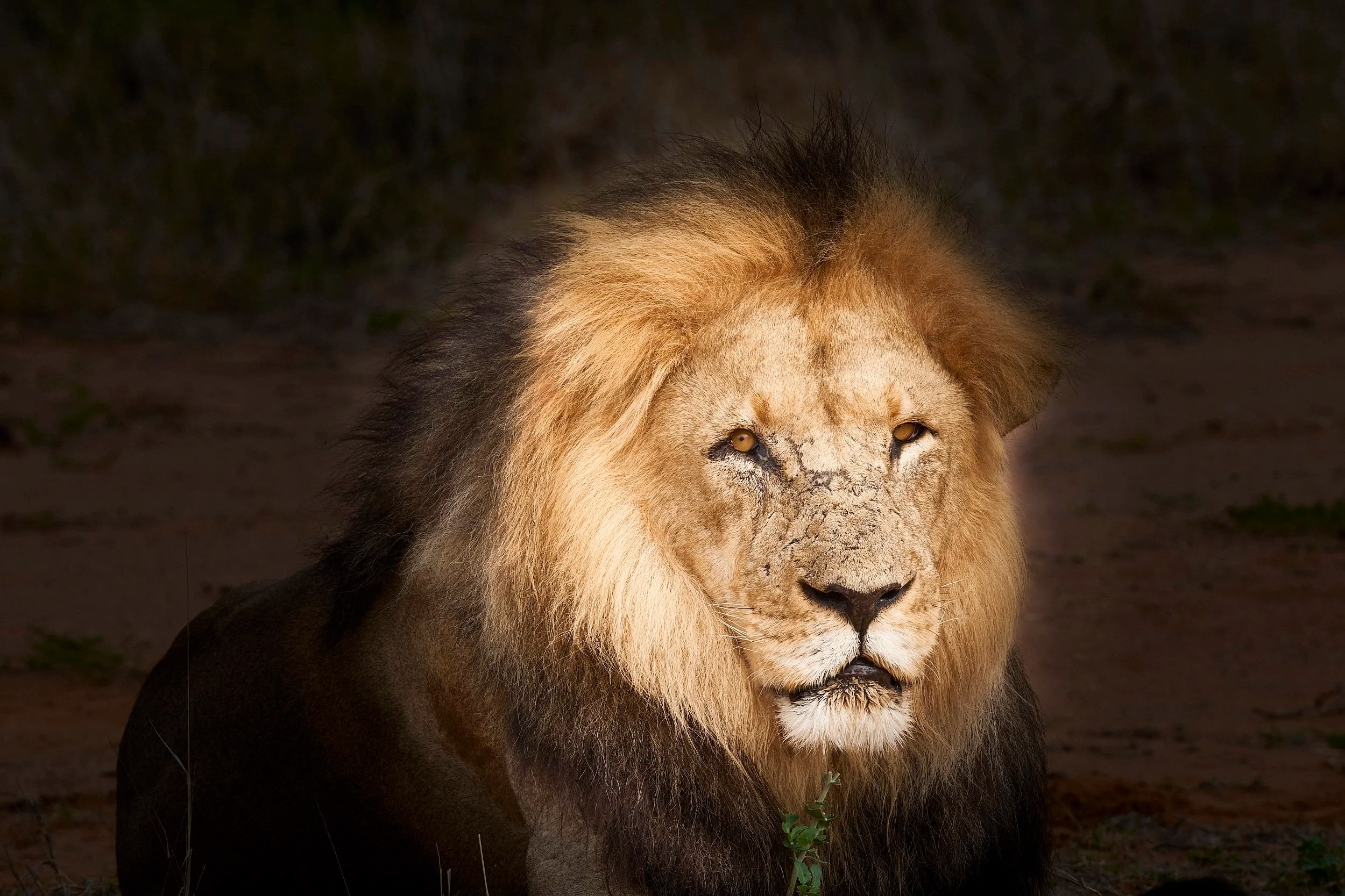 XH2_Africa2022_0470 1.jpg