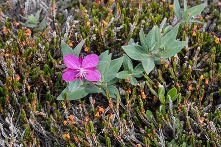 Greenland and at sea&nbsp;15/08/14