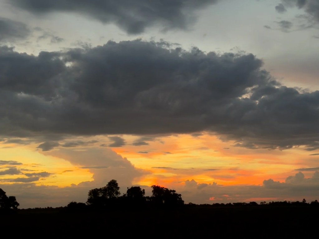 In Brazil, On the Way to the Pantanal- November 4,&nbsp;2025