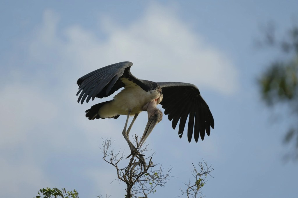 Kenya Saturday and Sunday&nbsp;25/02/2018