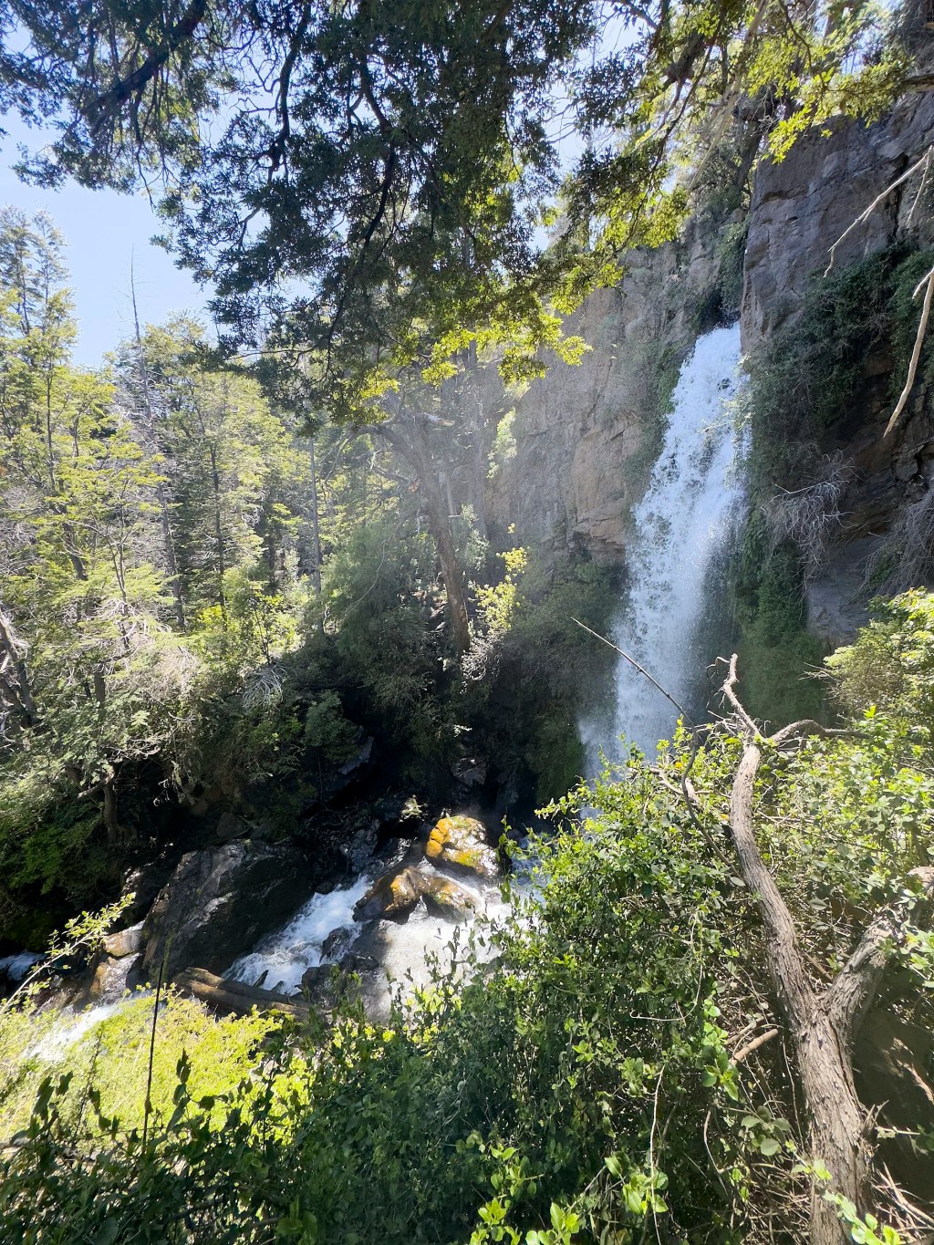 Los Alerces National Park and the end of 2024 – January 3,&nbsp;2025