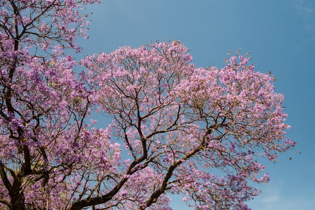 Buenos Aires – Day&nbsp;2