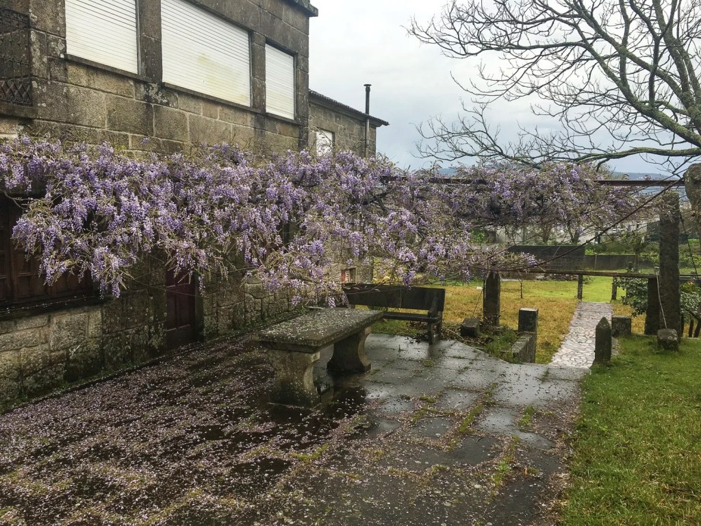 Camino –  Days 12 &&nbsp;13