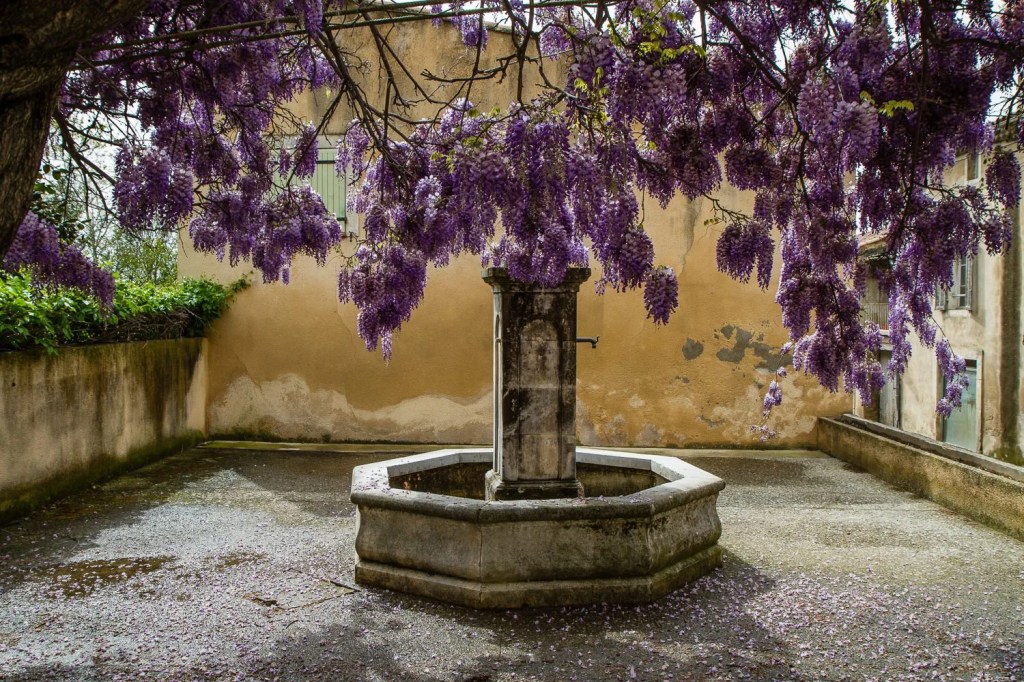 Provence – Days Seven and&nbsp;Eight