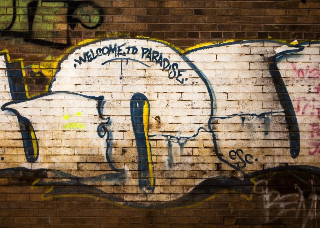 View From Our Silk-lined&nbsp;Foxhole