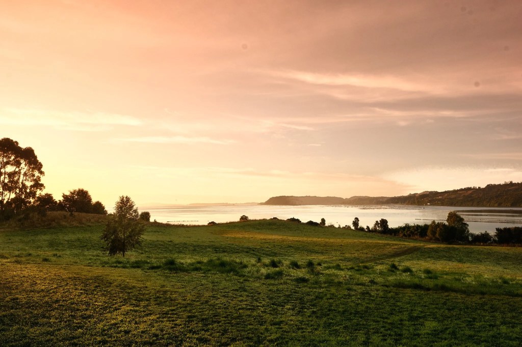 Carretera Austral – March 10,&nbsp;2023