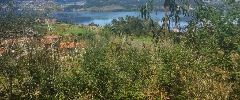 Camino – Day&nbsp;9