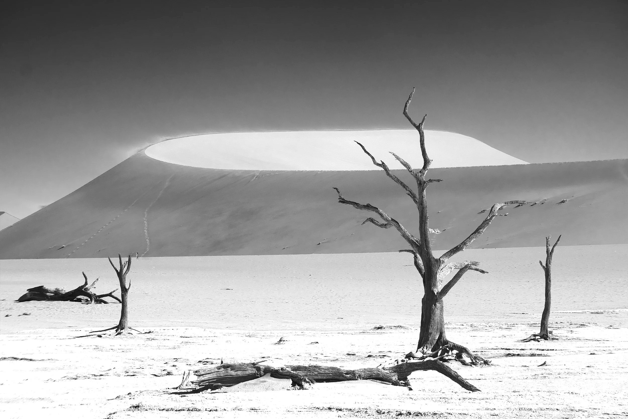 Dead Vlei.jpg