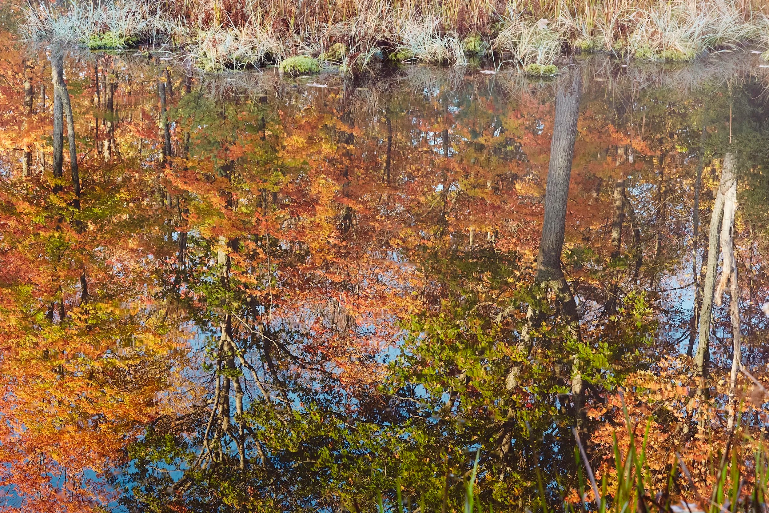 Reflections, Fall in Northern Ontario, Canada