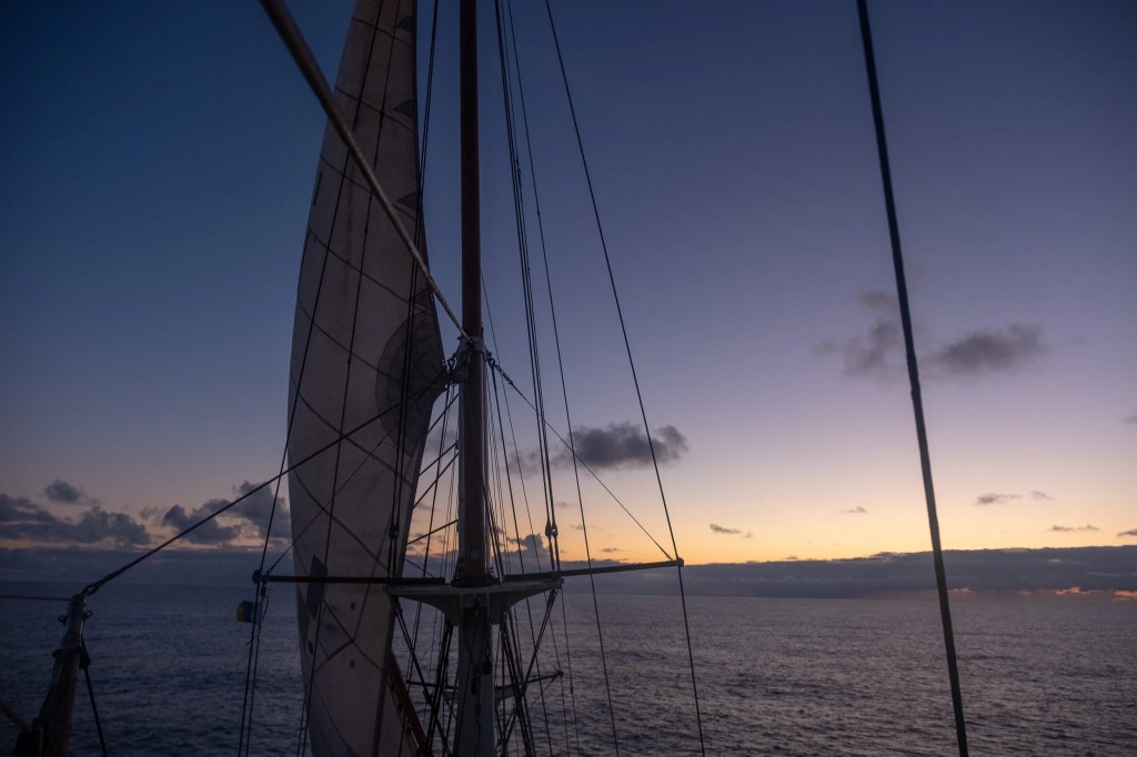 At sea – Week&nbsp;2