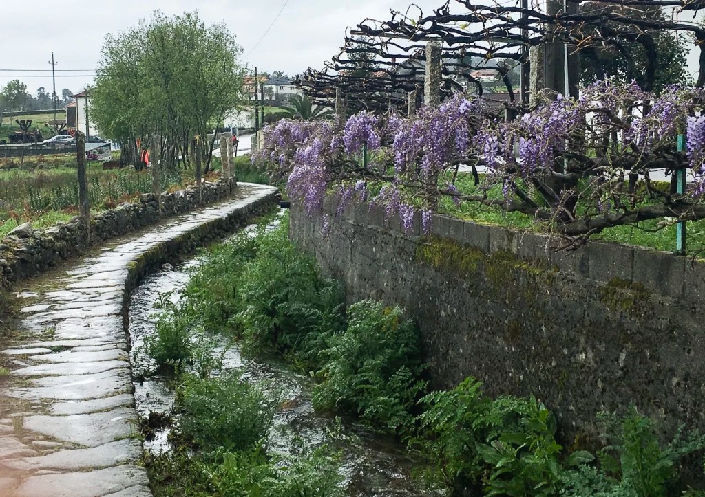 Camino Days – 6 &&nbsp;7