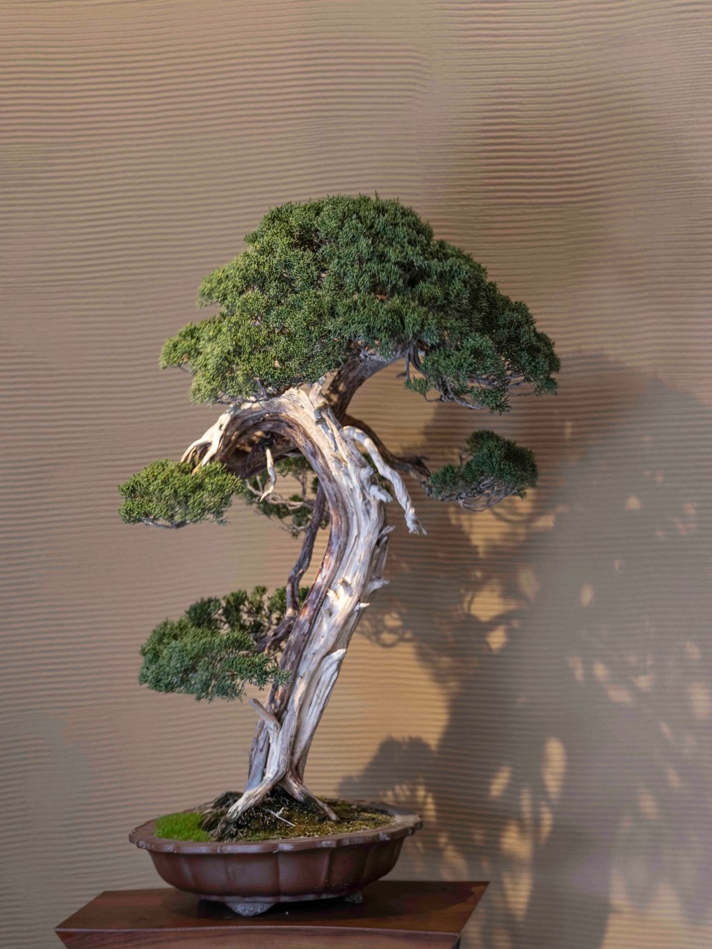 Osaka to Takamatsu to Hiroshima – March 31, 2024